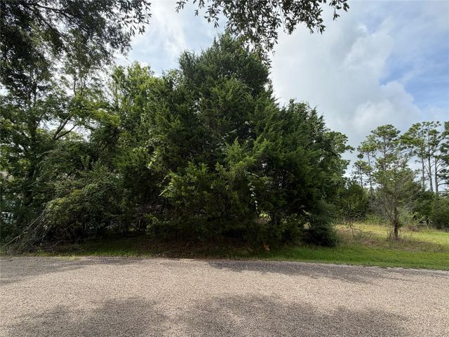 0 Timber Cove Lane, Coldspring, TX 77331