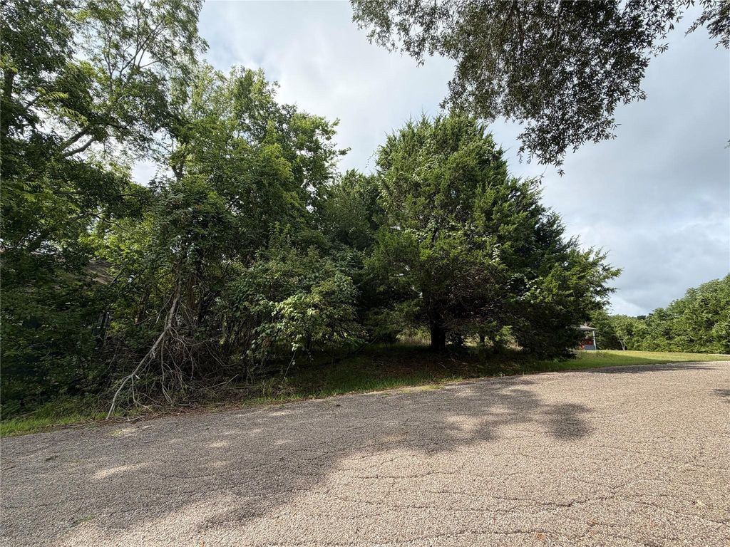 0 Timber Cove Lane, Coldspring, TX 77331