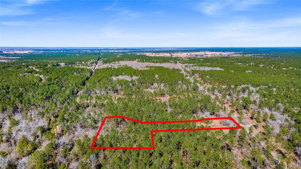 00 Bo Brown, Trinity, TX 75862