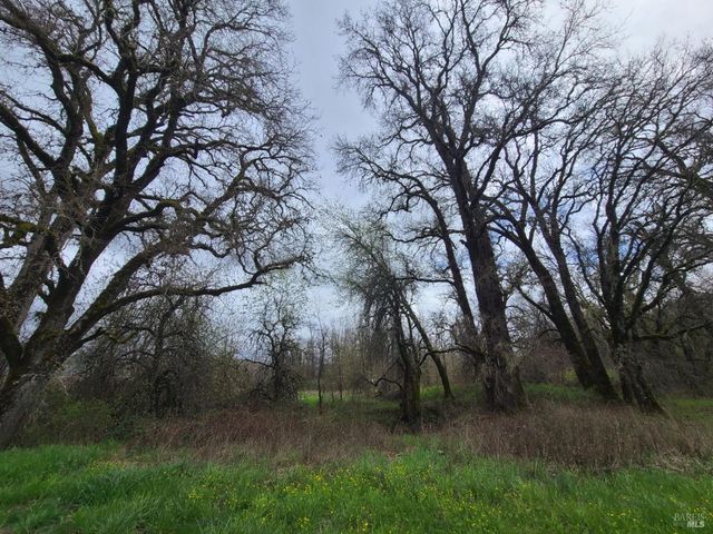 25428 Mendocino Pass Rd, Covelo, CA 95428