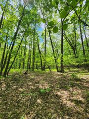 Lot 827 Hemlock Lane, Farwell, MI 48622
