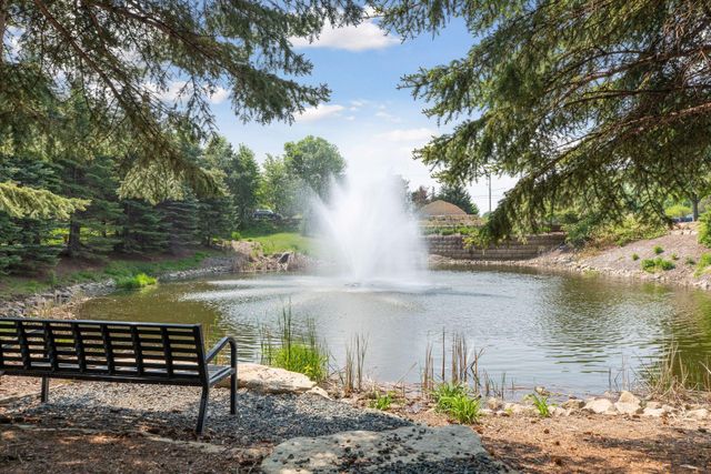 10565 Water Lily Lane, Woodbury, MN 55129