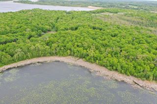 (Lot 8) TBD NE Rock Lake Road, Rochert, MN 56578