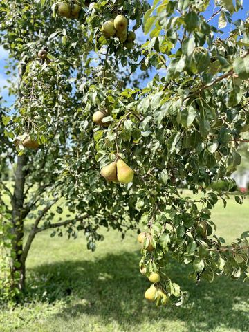 23180 State Route 31, Marysville, OH 43040