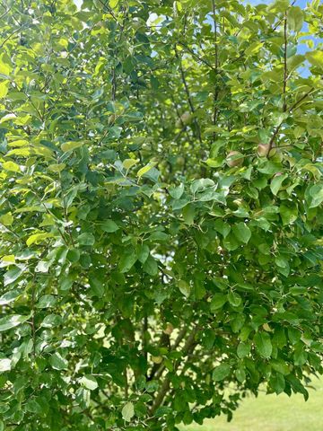 23180 State Route 31, Marysville, OH 43040