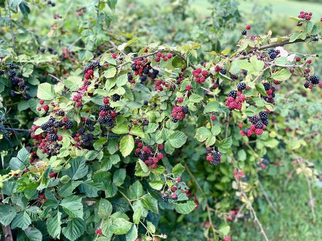 23180 State Route 31, Marysville, OH 43040