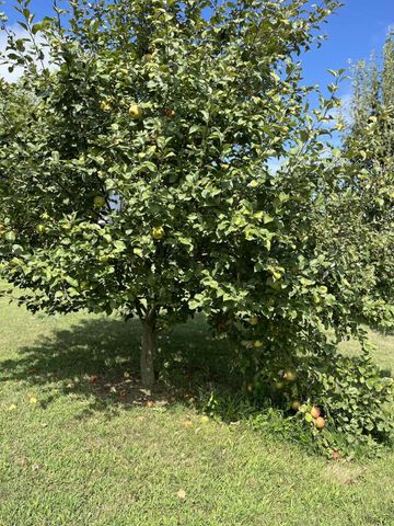 23180 State Route 31, Marysville, OH 43040