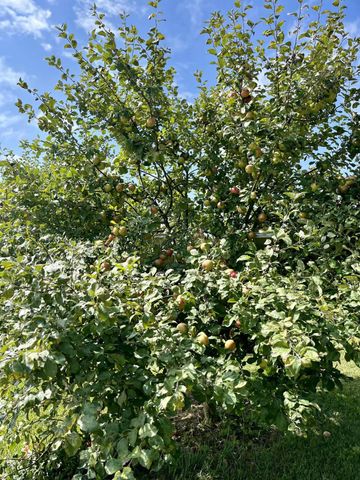 23180 State Route 31, Marysville, OH 43040