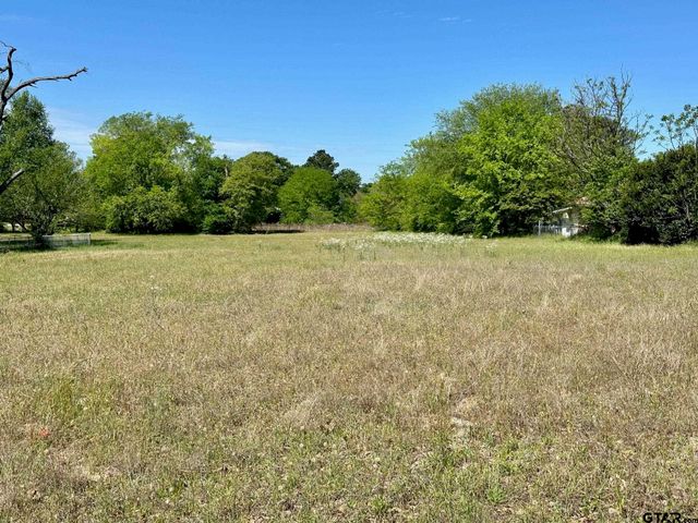 12696 CR 1139, Tyler, TX 75709