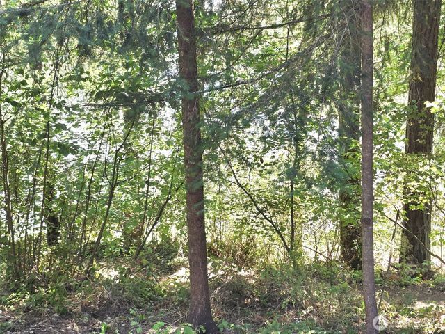 22213 N Clear Lake Boulevard SE, Yelm, WA 98597