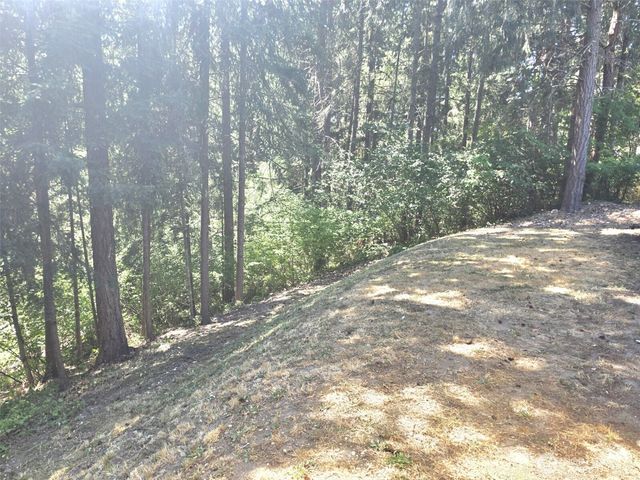 22213 N Clear Lake Boulevard SE, Yelm, WA 98597