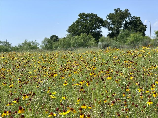 4525 CR 415, Cisco, TX 76437
