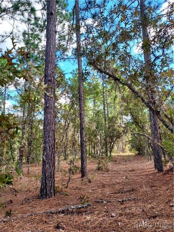 0 SW 90 Street, Ocala, FL 34431