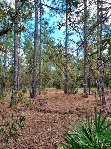 0 SW 90 Street, Ocala, FL 34431