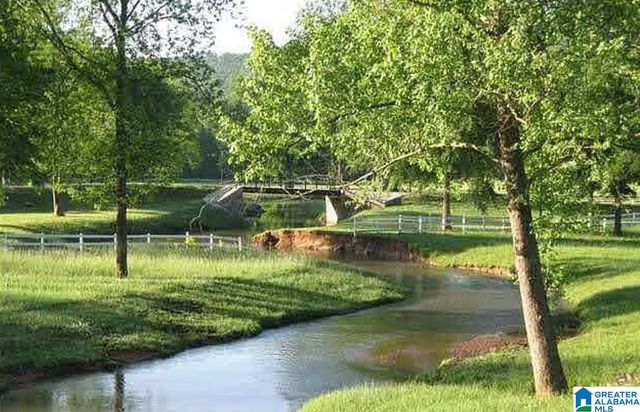 135 VILLAGE SPRINGS COVE, Springville, AL 35146