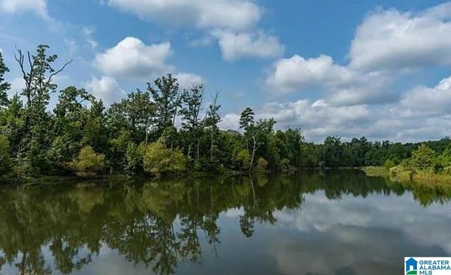 135 VILLAGE SPRINGS COVE, Springville, AL 35146