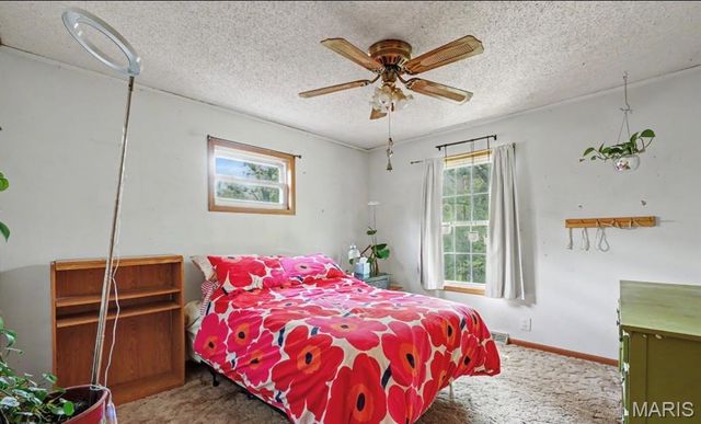 559 Brush Creek Road, St Clair, MO 63077