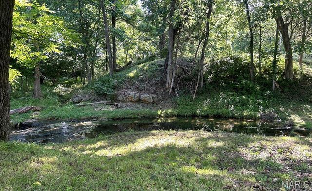559 Brush Creek Road, St Clair, MO 63077