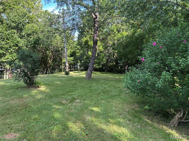 559 Brush Creek Road, St Clair, MO 63077