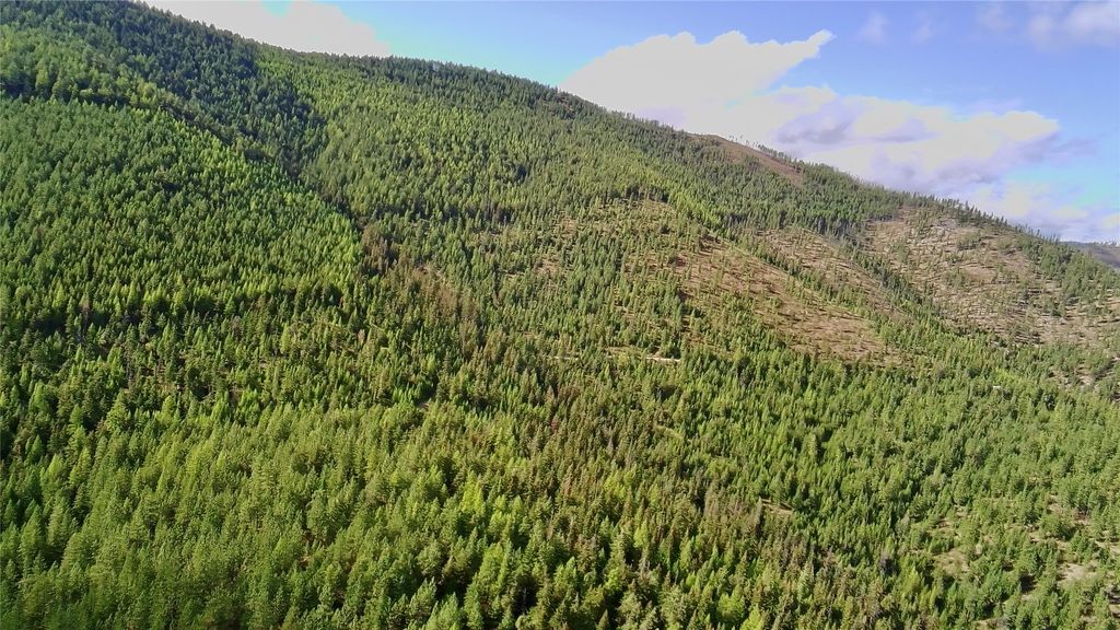 NHN West Fork Combest Creek, Plains, MT 59859 photo 6