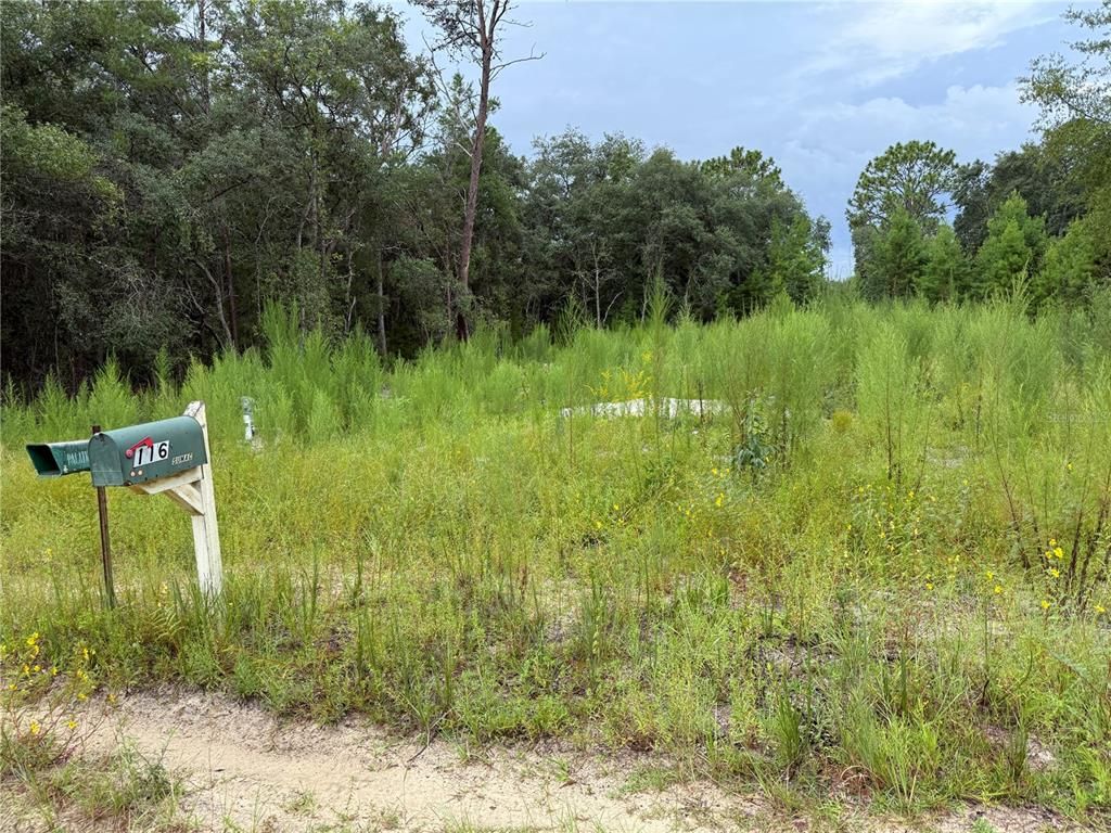 117 SUMAC STREET, Interlachen, FL 32148