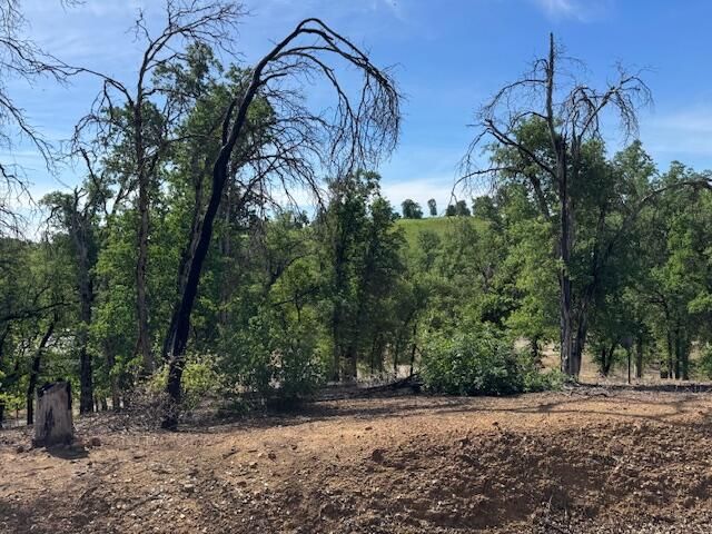 7257 Deck Way, Igo, CA 96047