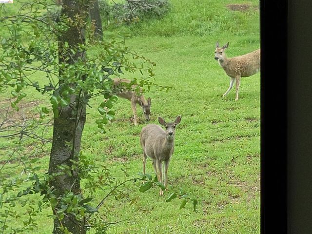 12629 Cresthavaen, Groveland, CA 95321