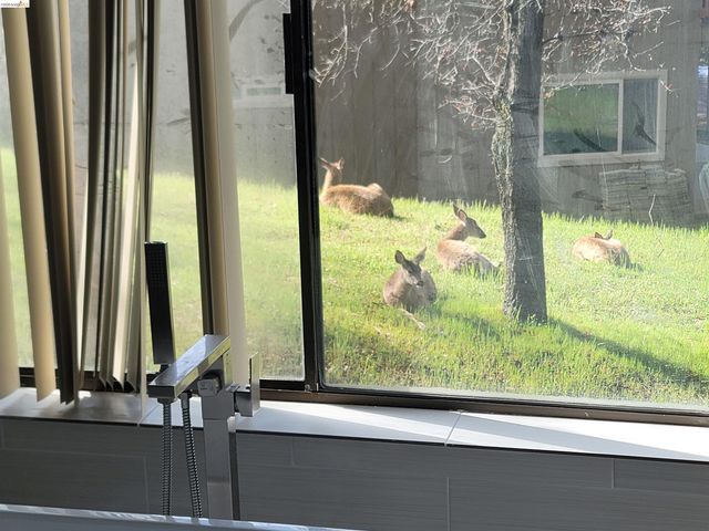 12629 Cresthavaen, Groveland, CA 95321