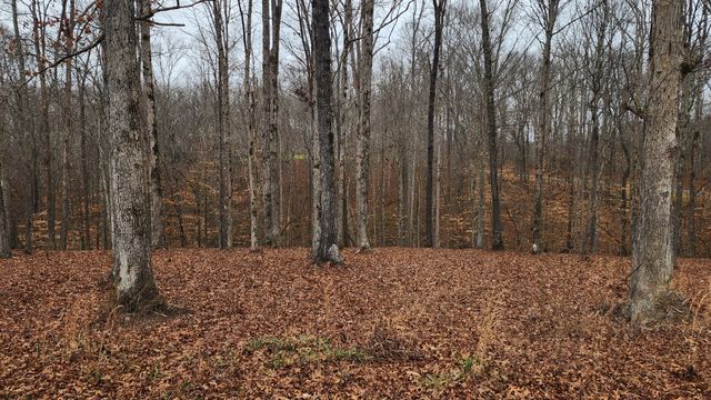 0 Riverwatch Trce, Sparta, TN 38583