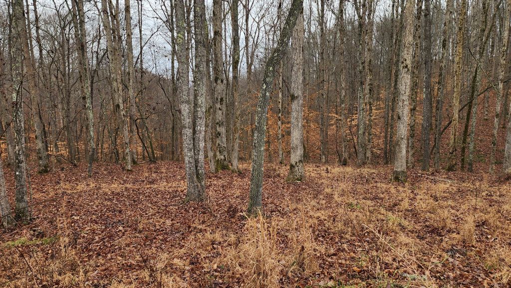 0 Riverwatch Trce, Sparta, TN 38583