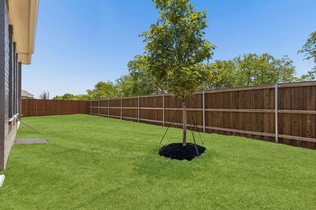1009 Goldenrod Drive, Justin, TX 76247