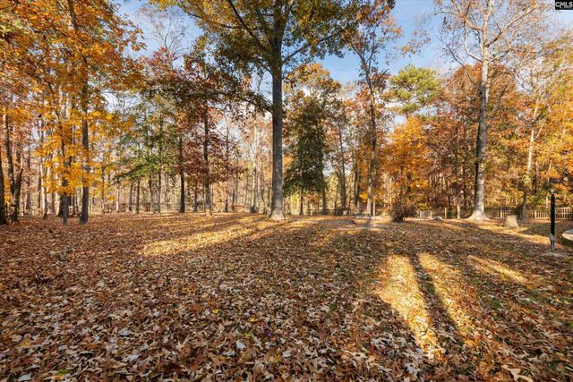 113 Locklier Road, Blythewood, SC 29016