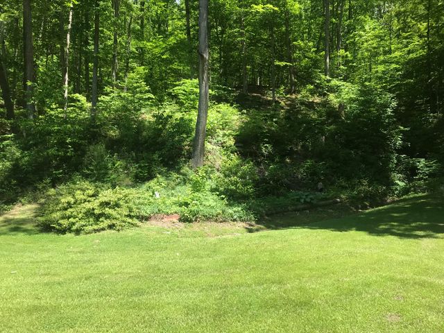 4275 KY 1161, West Liberty, KY 41472