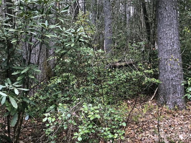 152 Sunrise Court 152, Sapphire, NC 28774