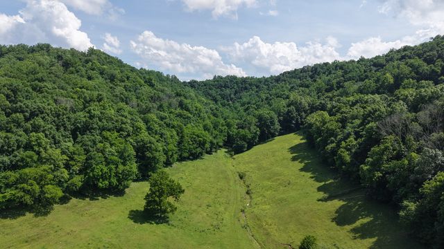 1358 Dry Branch Rd, Dixon Springs, TN 37057