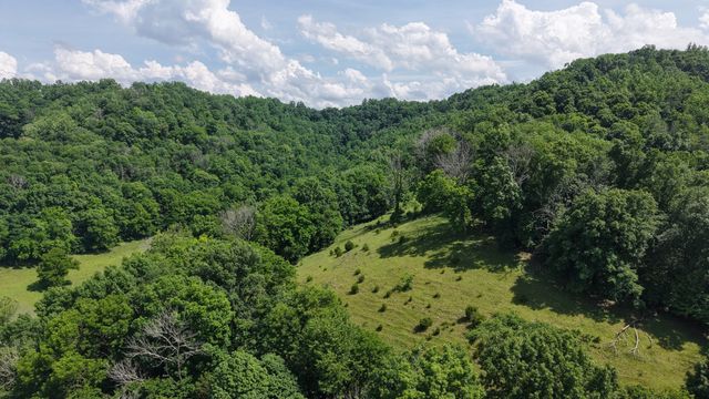 1358 Dry Branch Rd, Dixon Springs, TN 37057