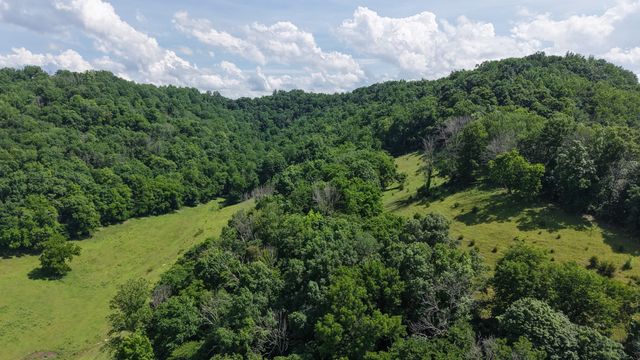 1358 Dry Branch Rd, Dixon Springs, TN 37057