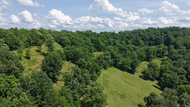 1358 Dry Branch Rd, Dixon Springs, TN 37057
