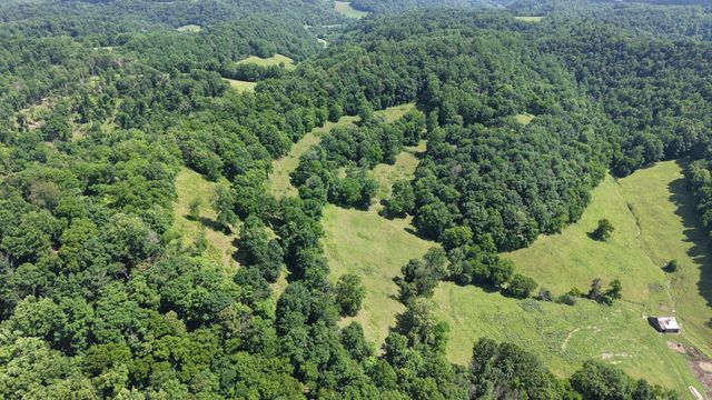 1358 Dry Branch Rd, Dixon Springs, TN 37057