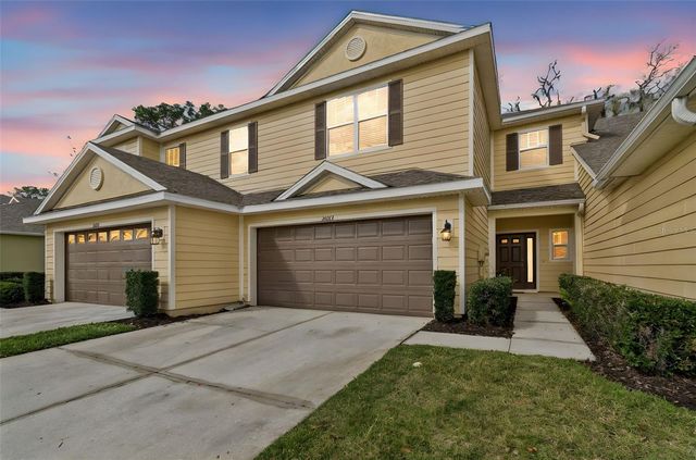 20112 INDIAN ROSEWOOD DRIVE, Tampa, FL 33647