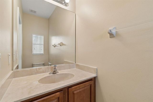 20112 INDIAN ROSEWOOD DRIVE, Tampa, FL 33647