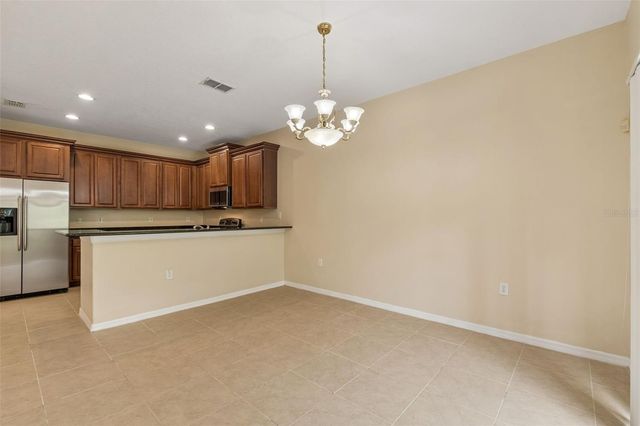 20112 INDIAN ROSEWOOD DRIVE, Tampa, FL 33647