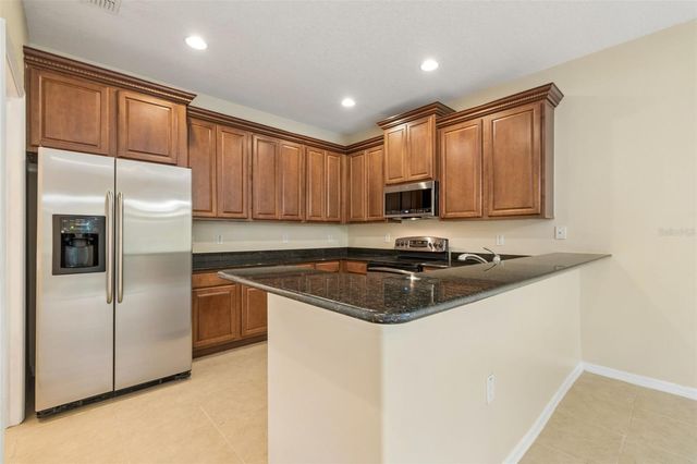 20112 INDIAN ROSEWOOD DRIVE, Tampa, FL 33647