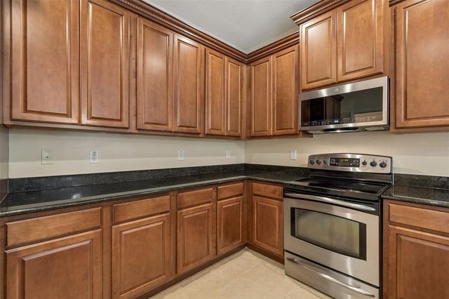 20112 INDIAN ROSEWOOD DRIVE, Tampa, FL 33647