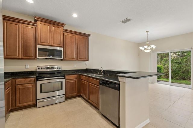 20112 INDIAN ROSEWOOD DRIVE, Tampa, FL 33647