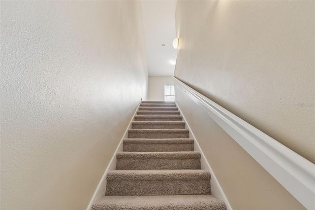 20112 INDIAN ROSEWOOD DRIVE, Tampa, FL 33647