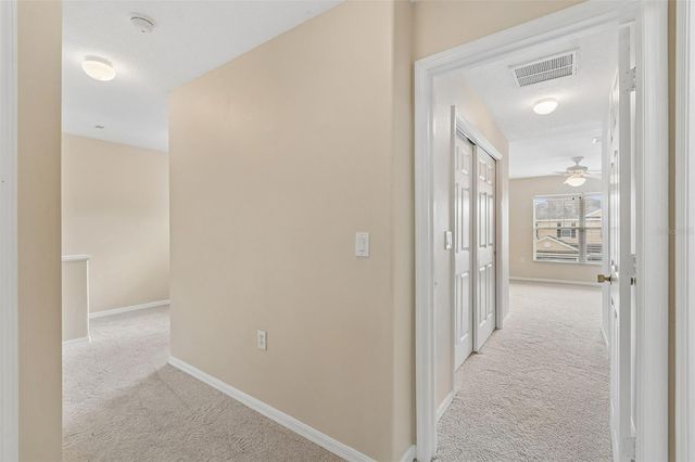 20112 INDIAN ROSEWOOD DRIVE, Tampa, FL 33647