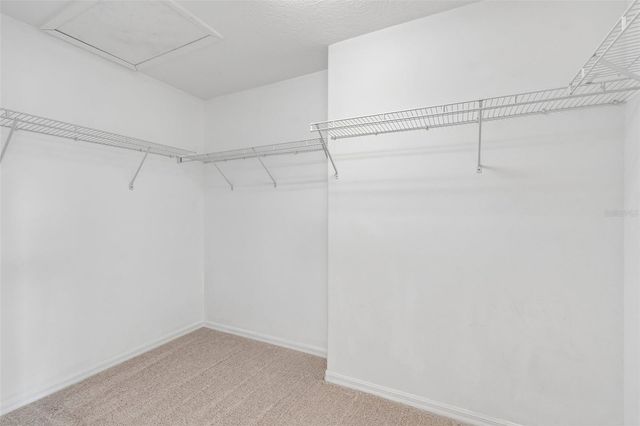 20112 INDIAN ROSEWOOD DRIVE, Tampa, FL 33647