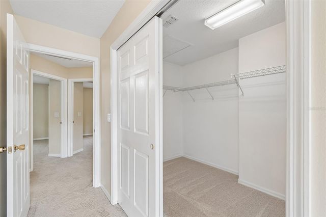 20112 INDIAN ROSEWOOD DRIVE, Tampa, FL 33647