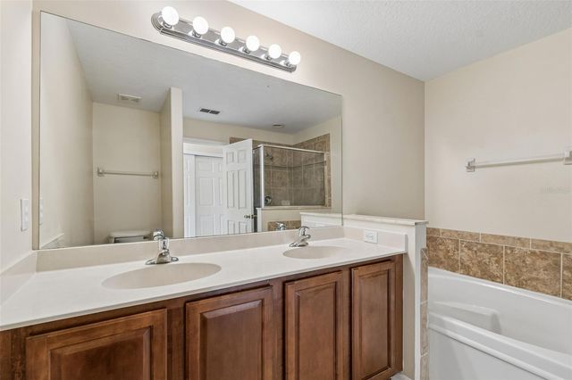 20112 INDIAN ROSEWOOD DRIVE, Tampa, FL 33647